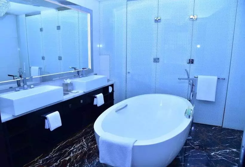 １ベッドルームのデラックスアパートメント, Park Hyatt Hotel And Residences, Hyderabad