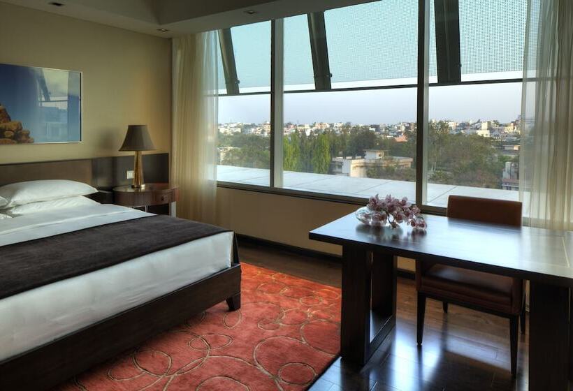 带1个卧室的豪华公寓, Park Hyatt Hotel And Residences, Hyderabad