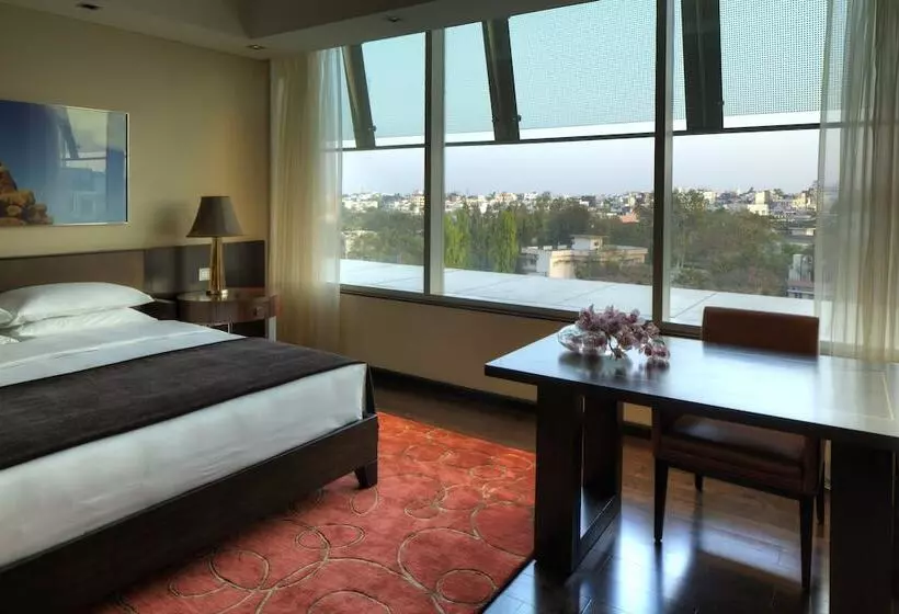 ２ベッドルームアパートメント, Park Hyatt Hotel And Residences, Hyderabad