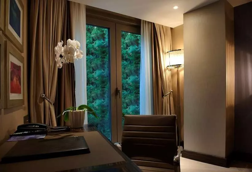 スタンダードルーム, Radisson Blu Hotel Istanbul Pera