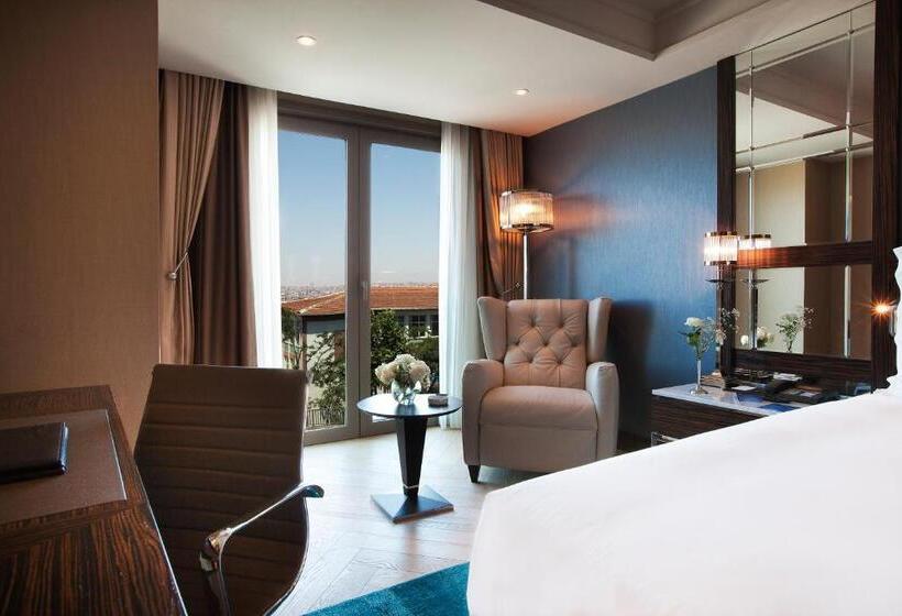 スタンダードルーム, Radisson Blu Hotel Istanbul Pera