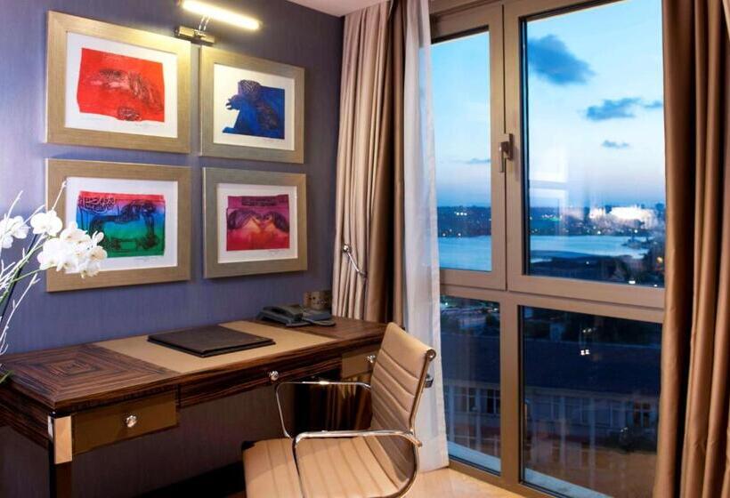 景色の見えるスーペリアルーム, Radisson Blu Hotel Istanbul Pera