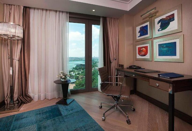 اتاق اجرایی, Radisson Blu Hotel Istanbul Pera