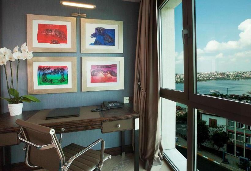 اتاق اجرایی, Radisson Blu Hotel Istanbul Pera