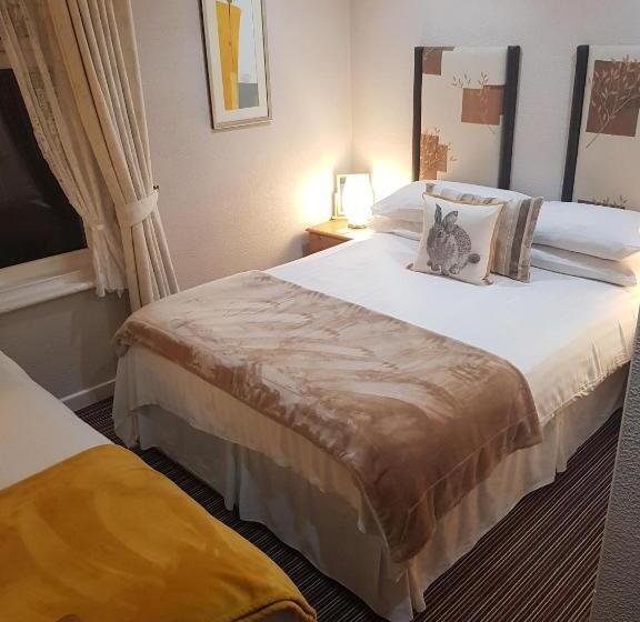 Семейный Номер, Rock Dene