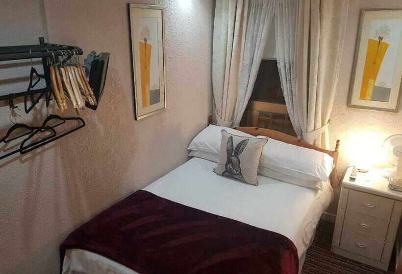 标准单人间, Rock Dene