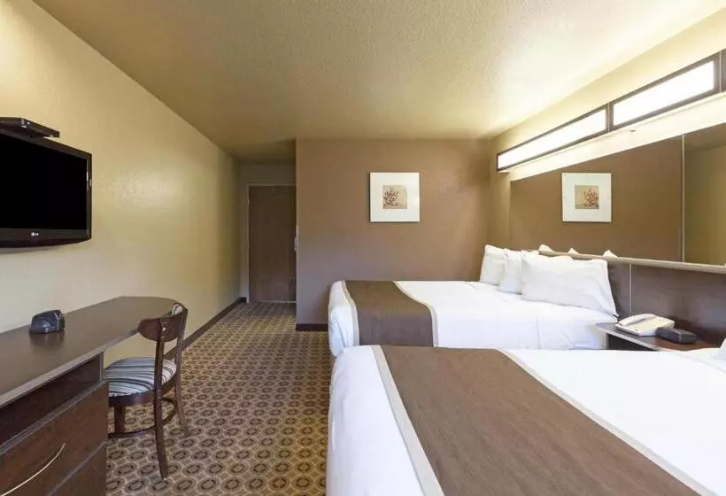 デラックスルーム, Microtel Inn & Suites By Wyndham Searcy