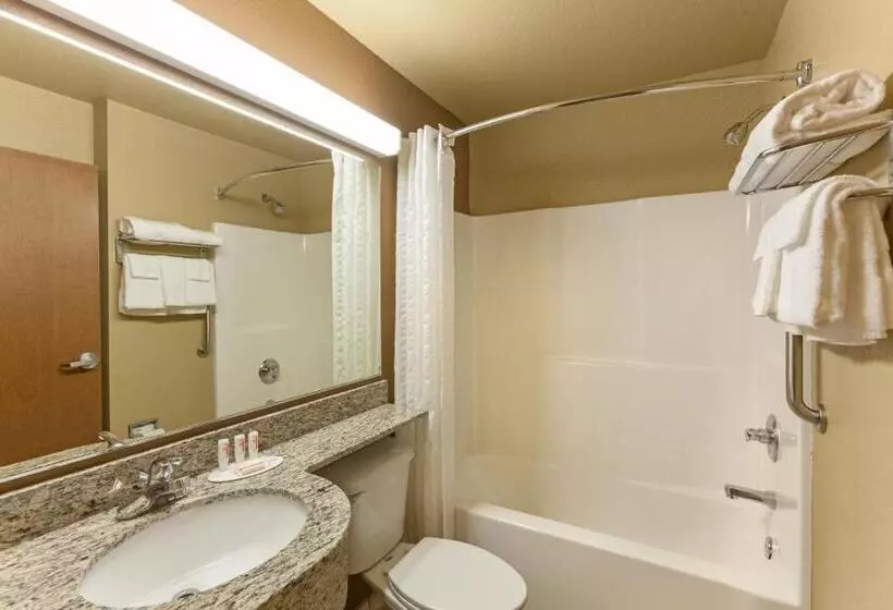 デラックスルーム, Microtel Inn & Suites By Wyndham Searcy