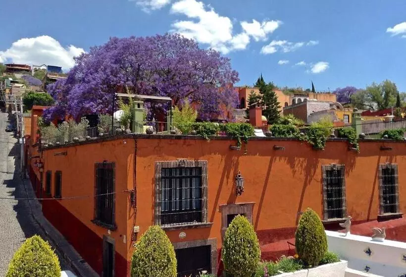 اتاق لوکس با بالکن, Casa Schuck Boutique
