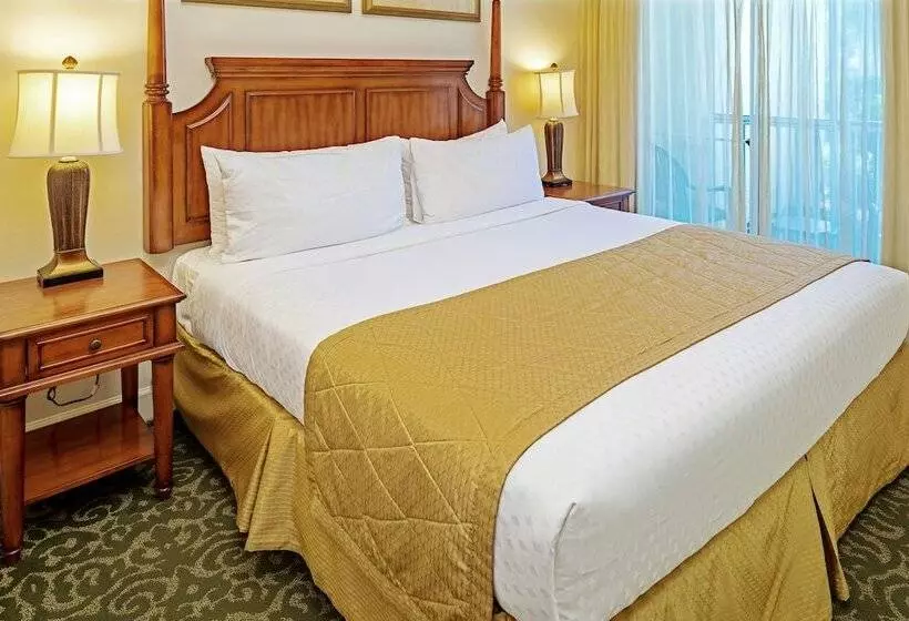 スリーベッドルーム　ヴィラ, Hilton Vacation Club Grande Villas Orlando