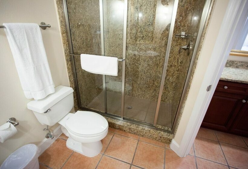 带3个卧室的别墅, Hilton Vacation Club Grande Villas Orlando