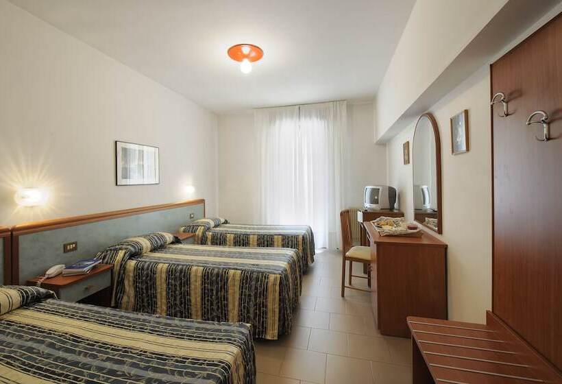 标准三人间, Bertusi