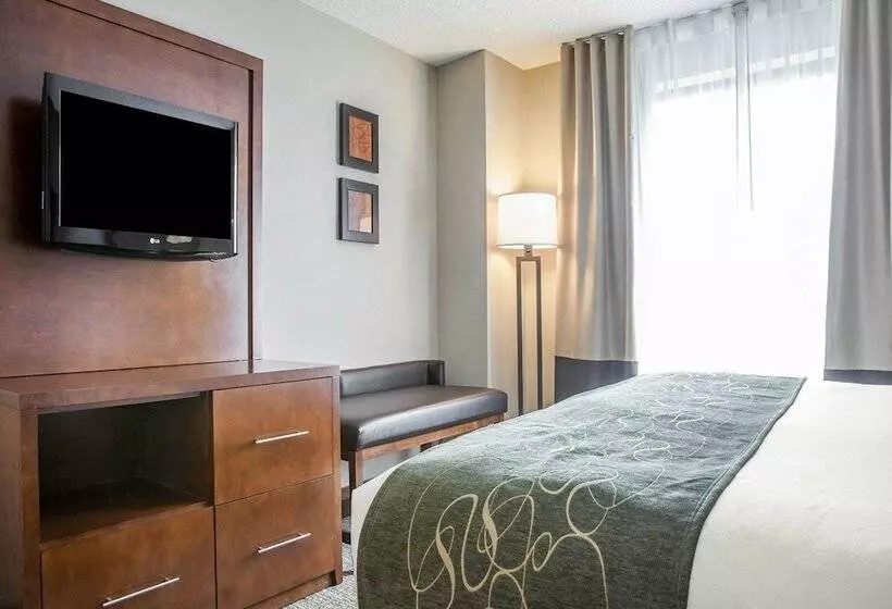 スイート, Comfort Suites West Warwick  Providence