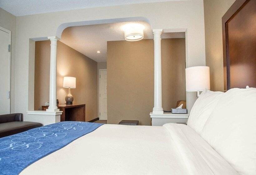 جناح لذوى الاحتياجات الخاصة, Comfort Suites West Warwick  Providence