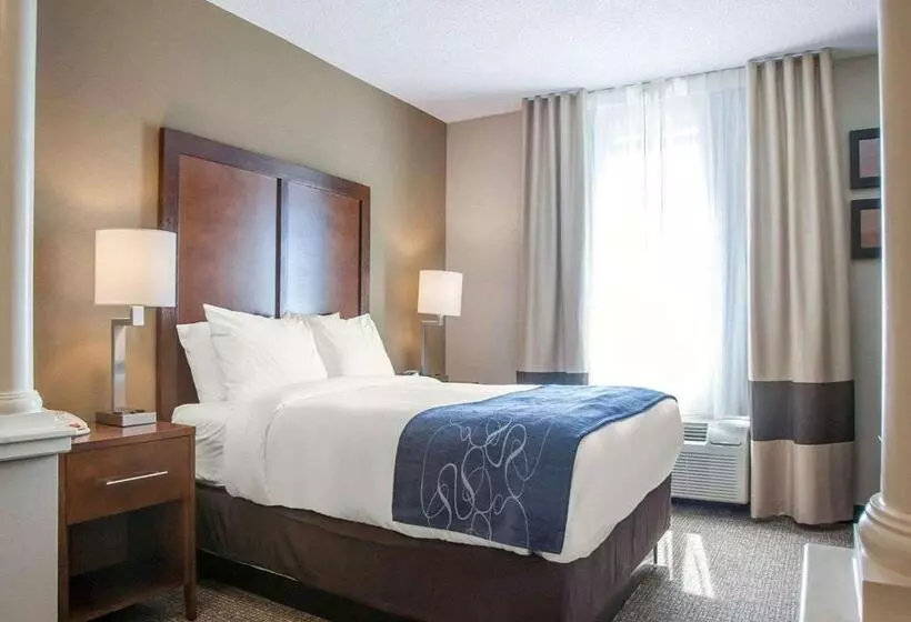 身障者適用スイートルーム, Comfort Suites West Warwick  Providence