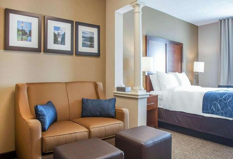 Люкс Адаптированный для Инвалидов, Comfort Suites West Warwick  Providence
