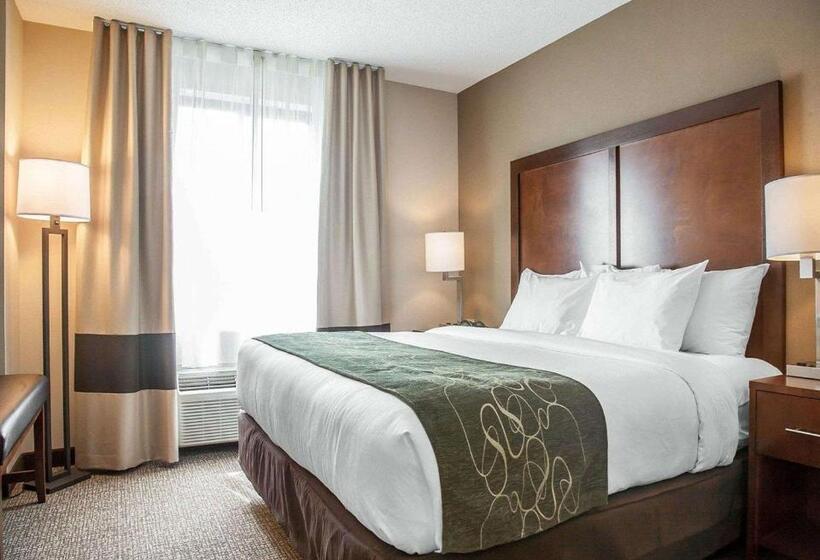 Люкс Кровать Кинг, Comfort Suites West Warwick  Providence