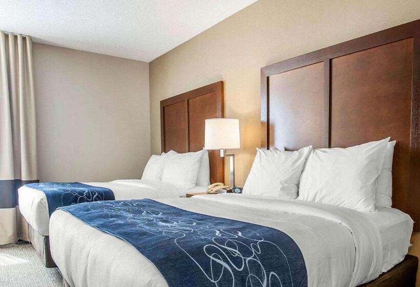 جناح, Comfort Suites West Warwick  Providence