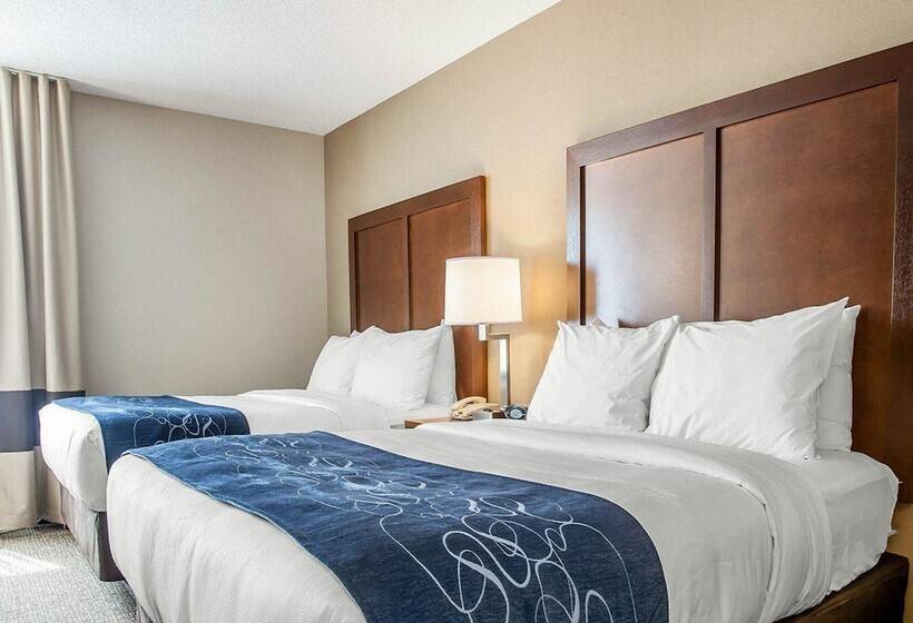 Люкс, Comfort Suites West Warwick  Providence