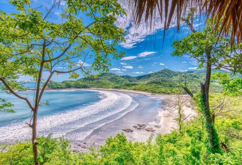 海景标准平房, Morgan S Rock