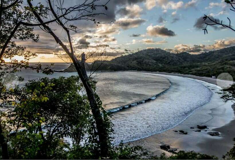 海景标准平房, Morgan S Rock