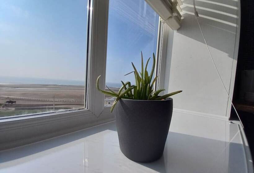 اتاق استاندارد با چشم‌انداز دریا, Vinnie S Family