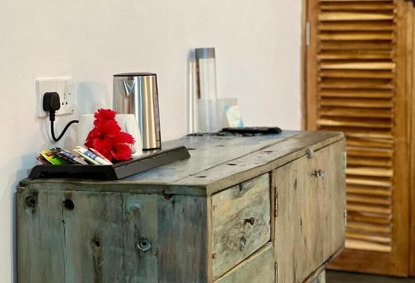 プールビュースタンダードルーム, Opera