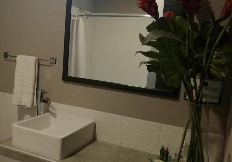 غرفة قياسية, Boutique Valverde Santa Elena