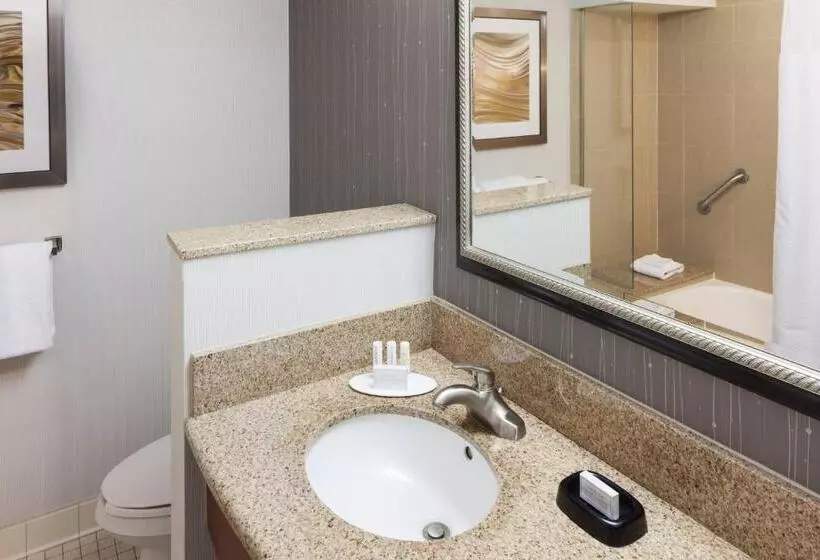 スタンダードルーム, Courtyard By Marriott Miami At Dolphin Mall