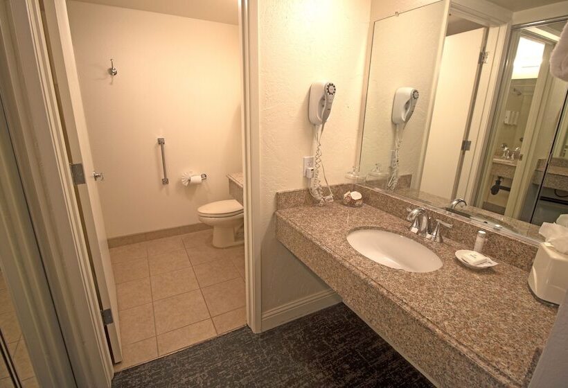 غرفة قياسية سرير كينج, La Serena Inn