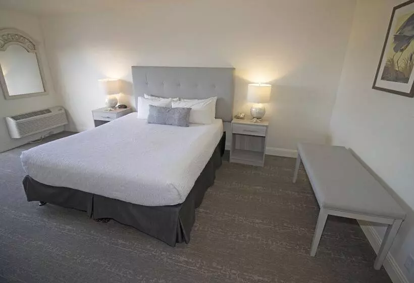 Standard-huone King-vuode, La Serena Inn
