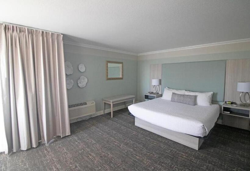 جناح سرير كينج, La Serena Inn