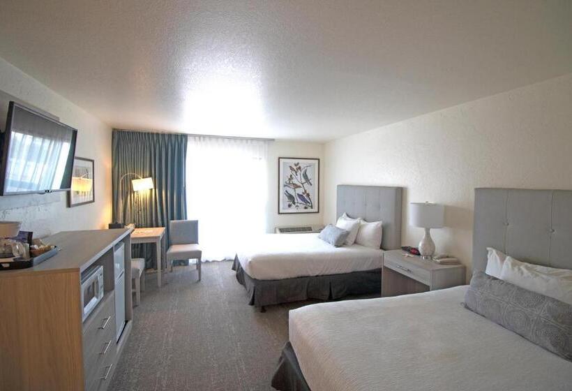Номер Стандарт Вид на Море, La Serena Inn