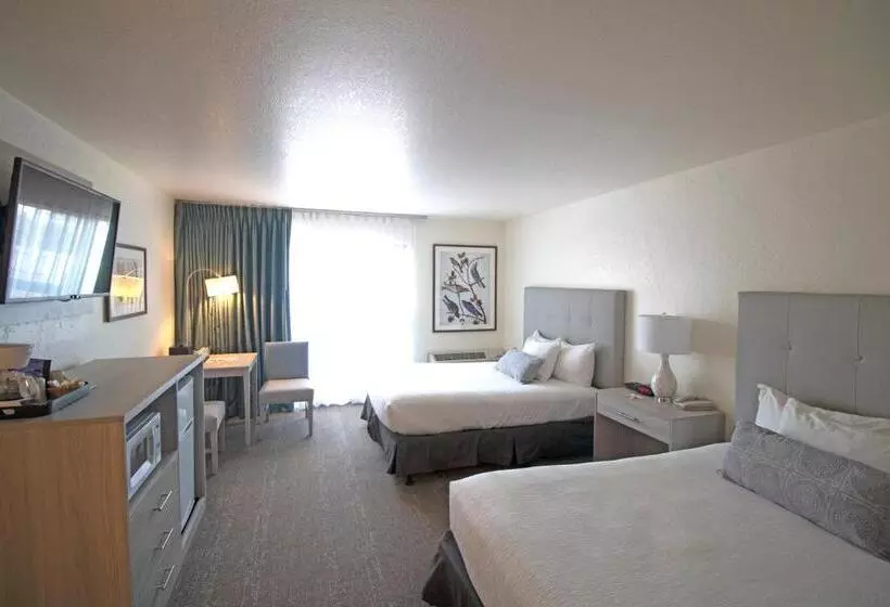 Standard-huone Merinäkymä, La Serena Inn