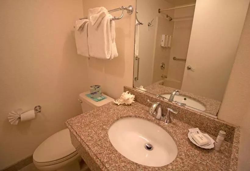 Deluxe-huone King-vuode, La Serena Inn