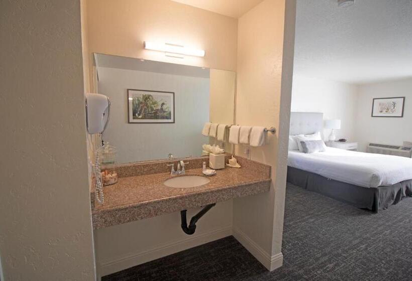 غرفة قياسية سرير كينج لذوى الإحتياجات الخاصة, La Serena Inn