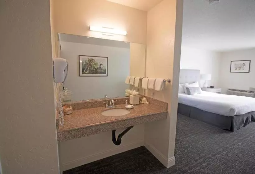 Standard-invahuone King-vuode, La Serena Inn