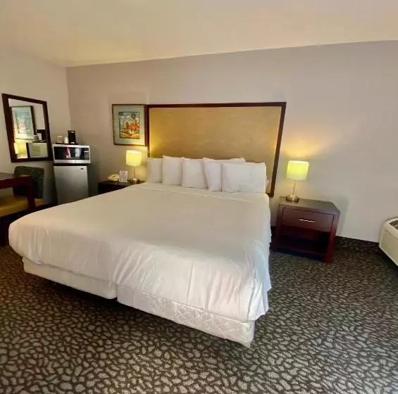 Standard-huone King-vuode, Morro Shores Inn And Suites
