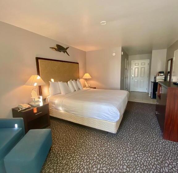 스탠다드 룸 킹사이즈 침대, Morro Shores Inn And Suites