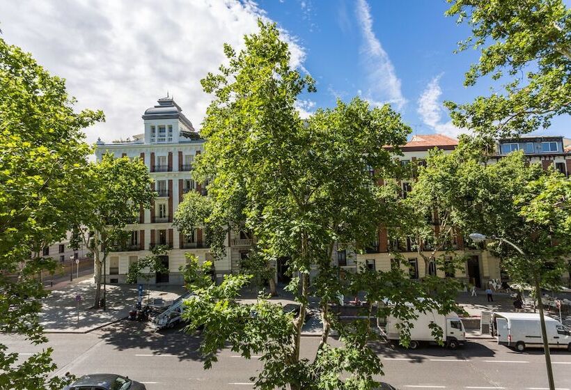 Номер Стандарт Вид на Город, Petit Palace Lealtad Plaza