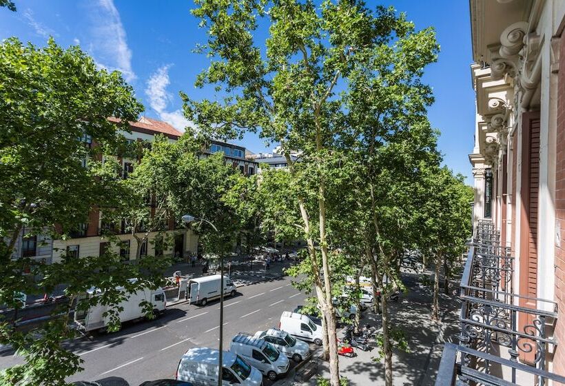 Номер Стандарт Вид на Город, Petit Palace Lealtad Plaza