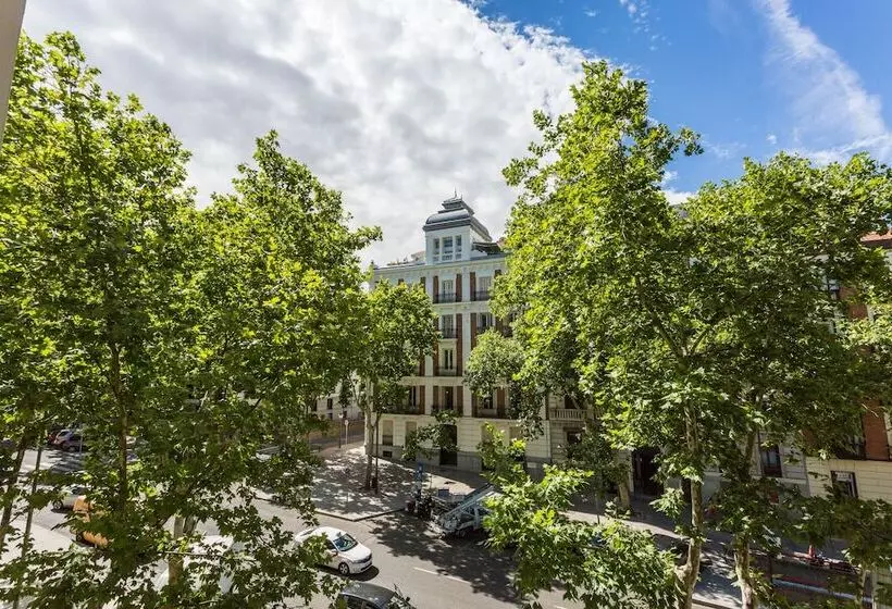 اتاق سوپریور, Petit Palace Lealtad Plaza