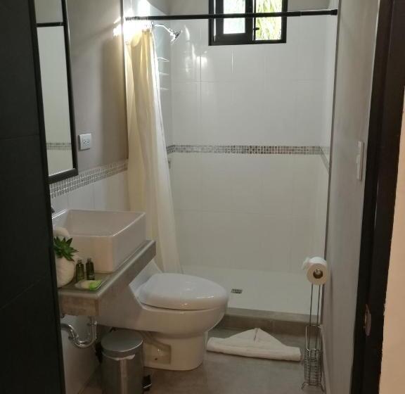 غرفة قياسية فردية, Boutique Valverde Santa Elena