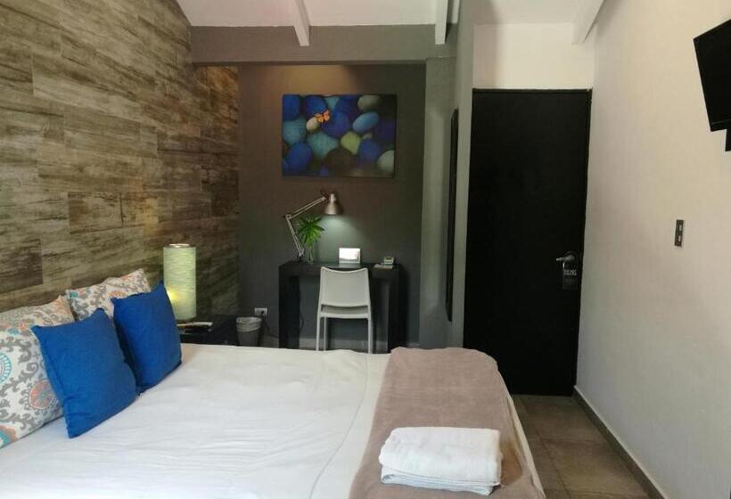 غرفة قياسية فردية, Boutique Valverde Santa Elena