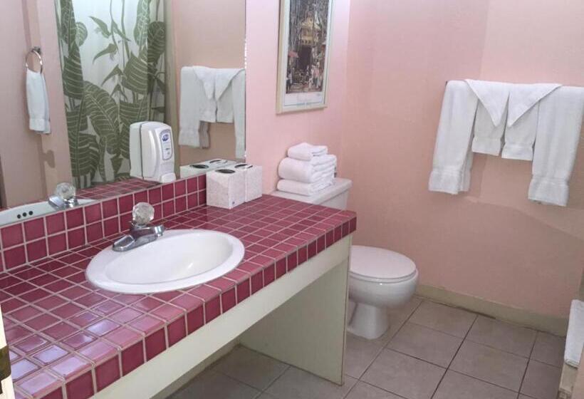 Номер Стандарт, Kuhio Banyan