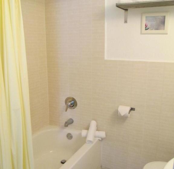 Номер Стандарт, Shalimar Motel