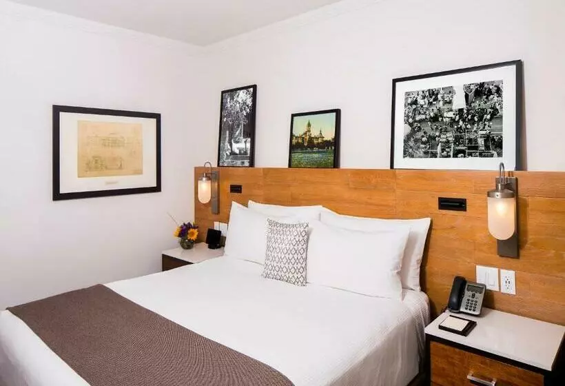 اتاق استاندارد با تخت بزرگ, At&t Hotel & Conference Center