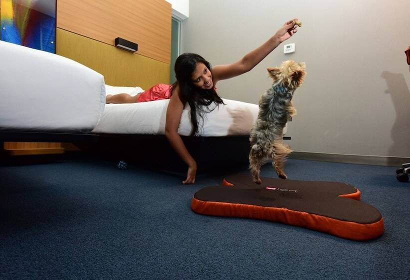 Номер Стандарт 2 Двуспальные Кровати, Aloft San Jose Hotel, Costa Rica