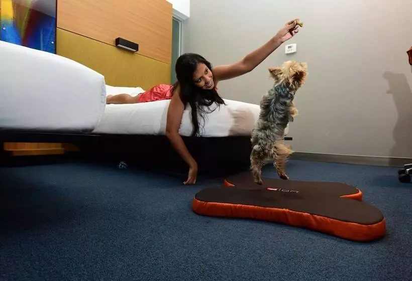２ダブルベッドのスタンダードルーム, Aloft San Jose Hotel, Costa Rica