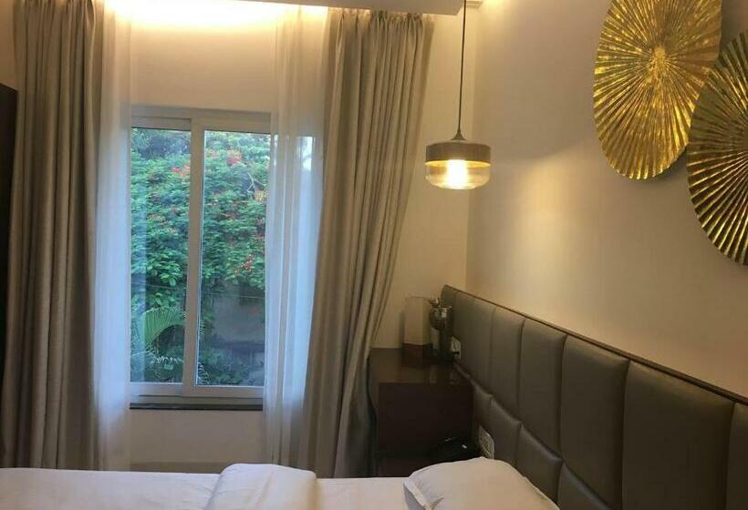 豪华房间, Cozy Inn